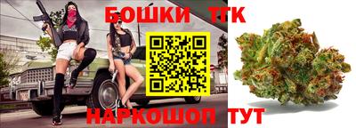 крисы Обь