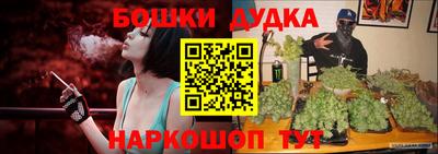 индика Обнинск