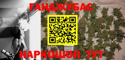 крисы Обь