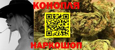 крисы Обь