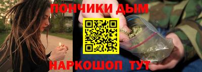 индика Обнинск