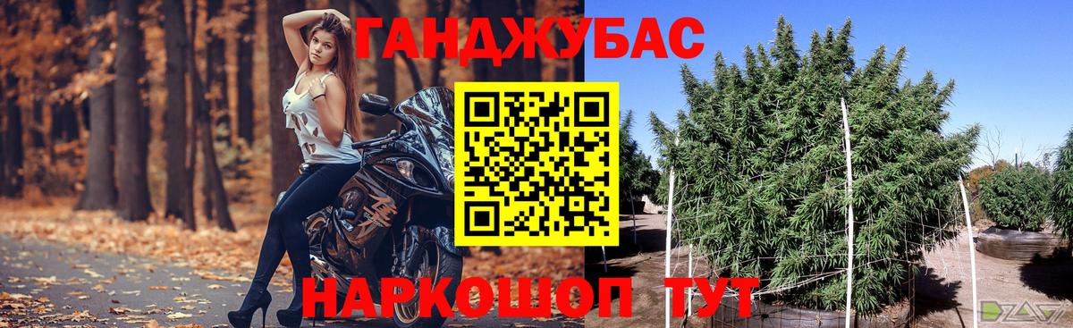 Похвистнево  Бошки Шишки гибрид  Вход с VPN  Конопля сатива  Марихуана сатива 
